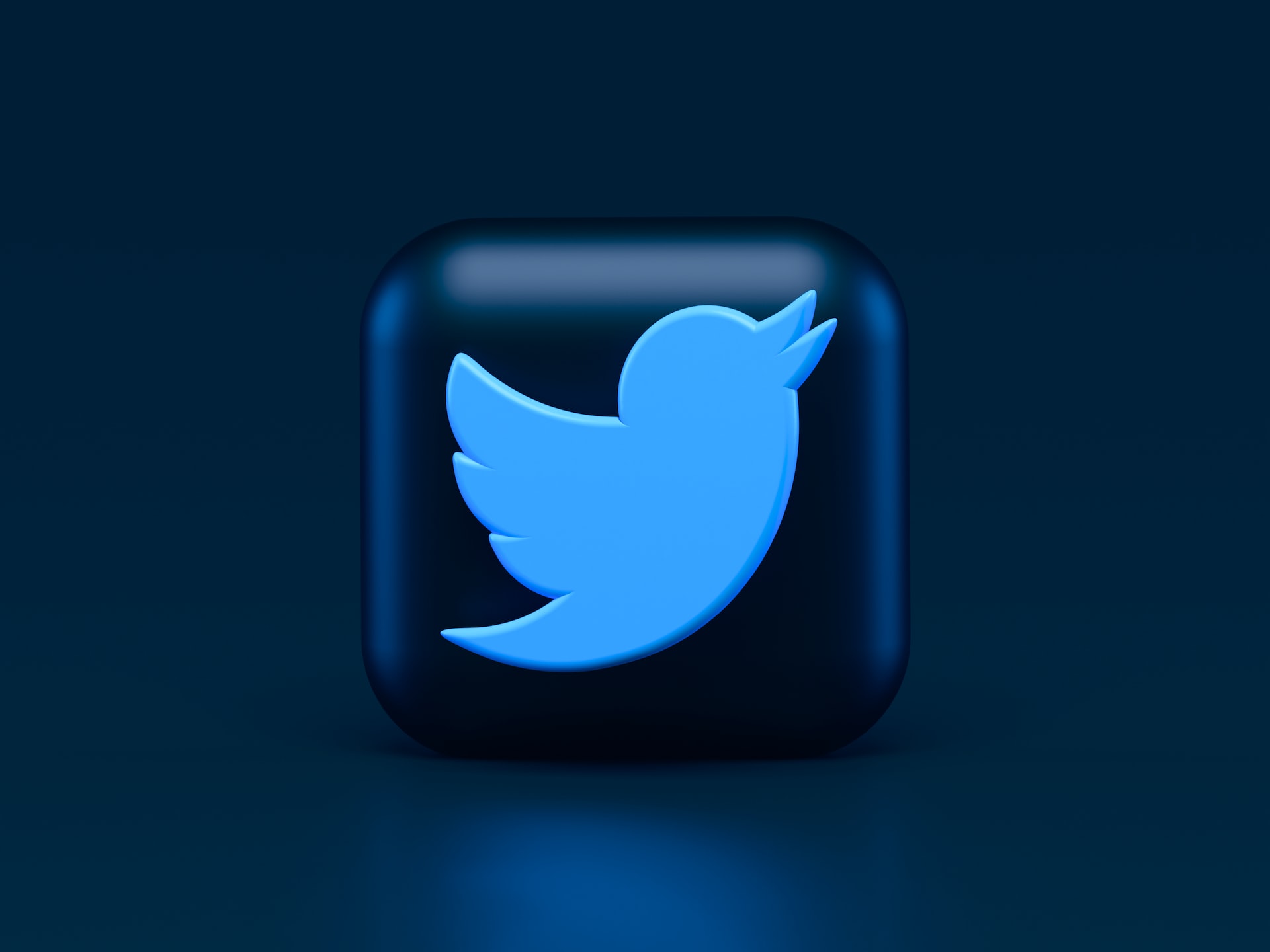 Twitter-test-image